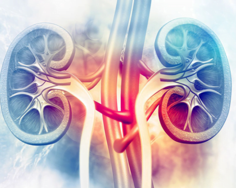nephrology